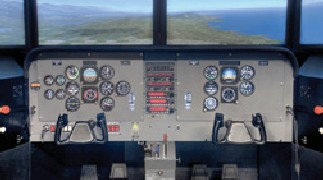 Flight Simulator window